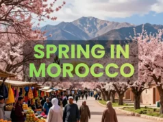 Spring in Morocco 2026: Perfect Weather for Travel & Adventures Spring in Morocco 2026