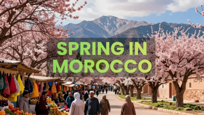 Spring in Morocco 2026: Perfect Weather for Travel & Adventures Spring in Morocco 2026