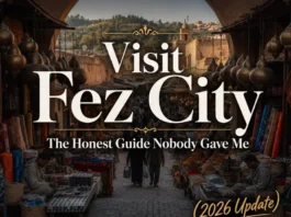 visit fez city